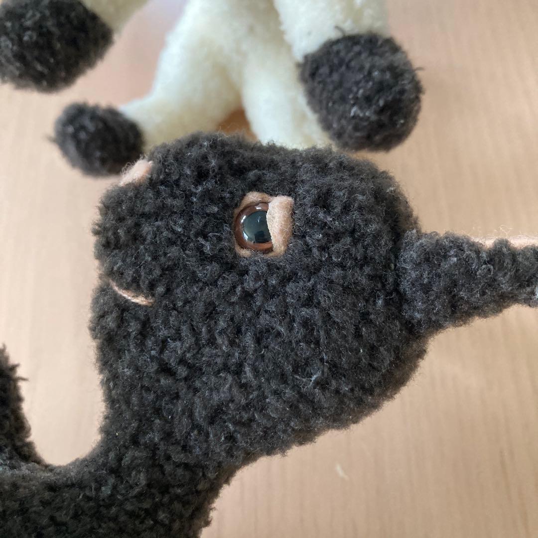 Frederic フレデリック　セット