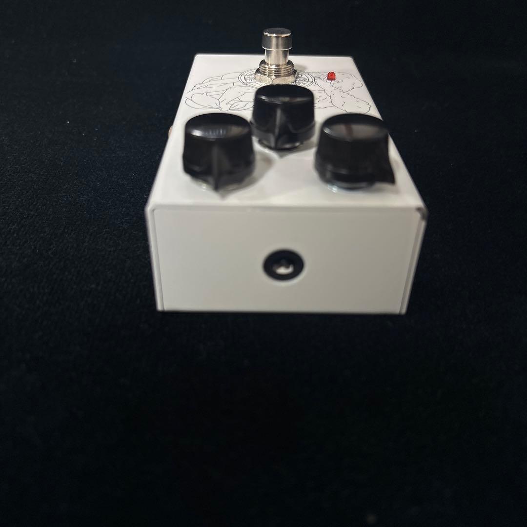 ギター Organic Sounds Hercules W