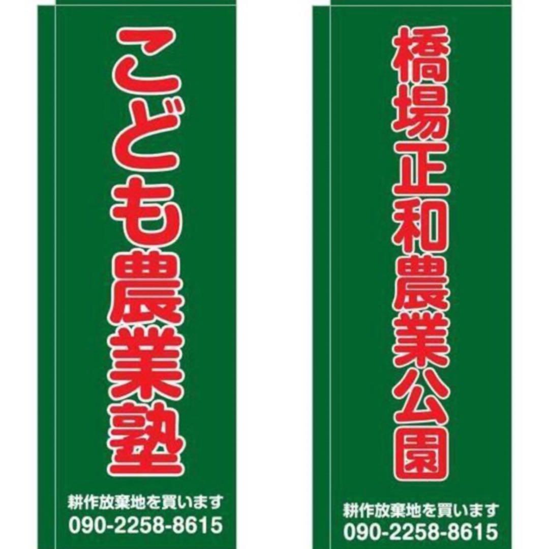 花乙女コレクション【押し花額　阿部とも　押し花・切手風】