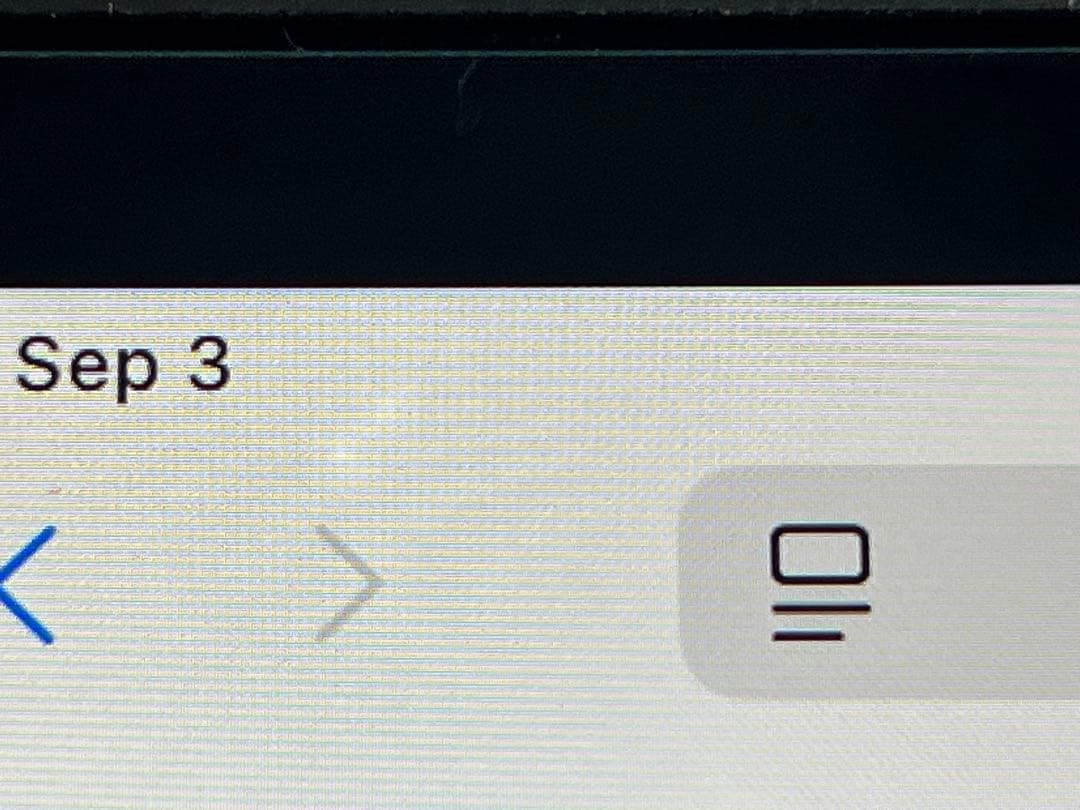 iPad Pro 12.9インチ 第4世代 256GB セルラー