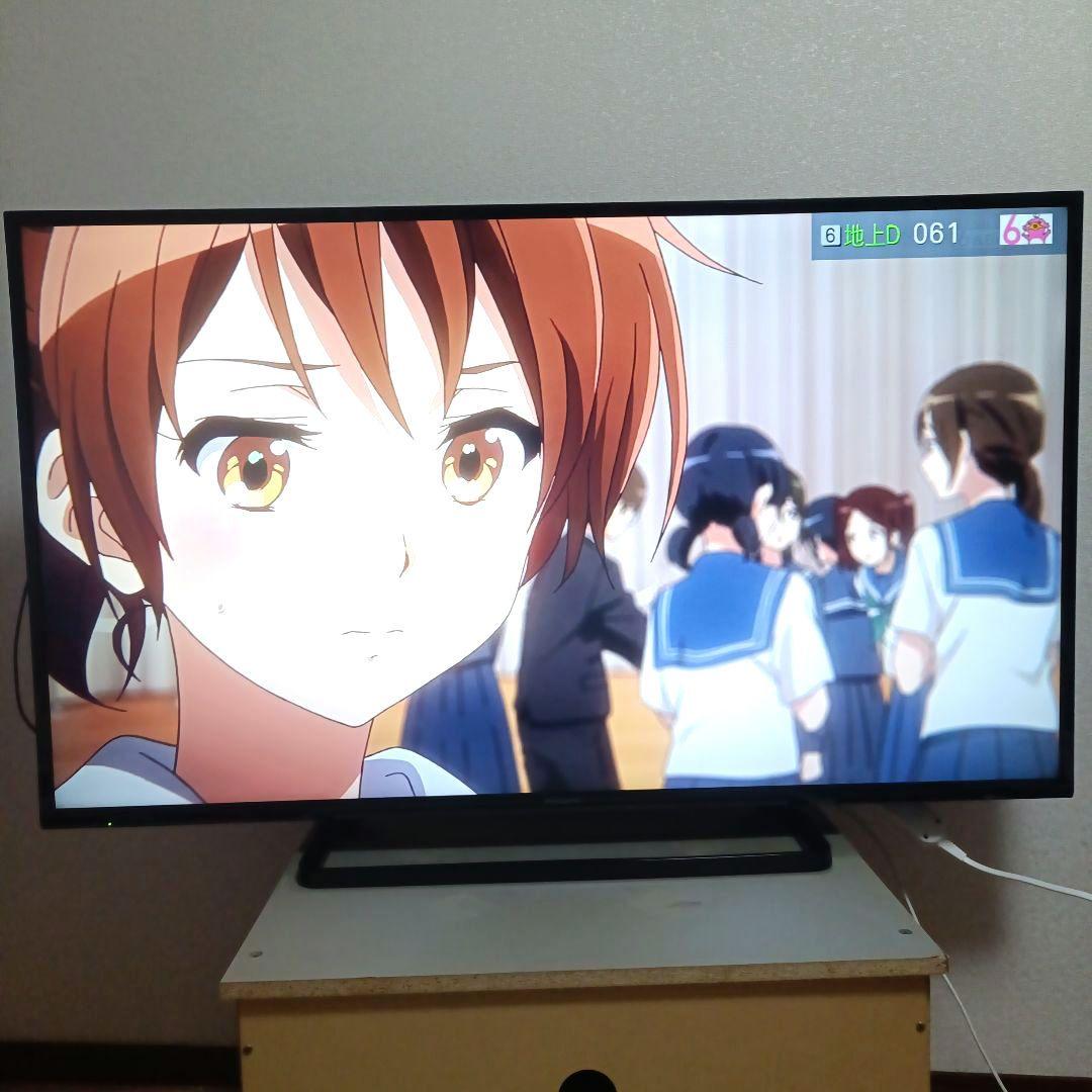 Panasonic[2016年品]TH-49D305