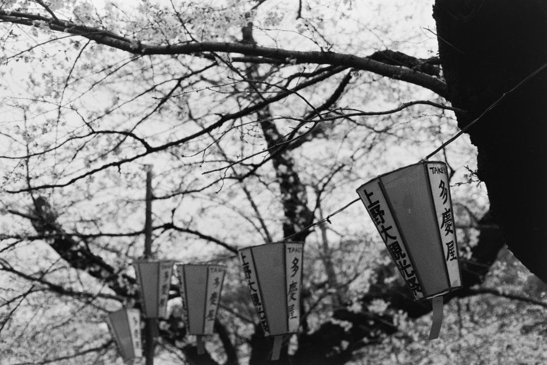 フィルムカメラ minolta X700 MD 50mm f1.4