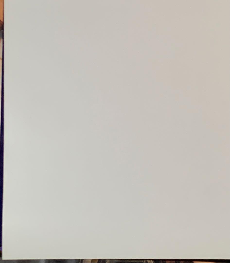 【B2】 伝説のスタフィー4 販促 非売品 ポスター