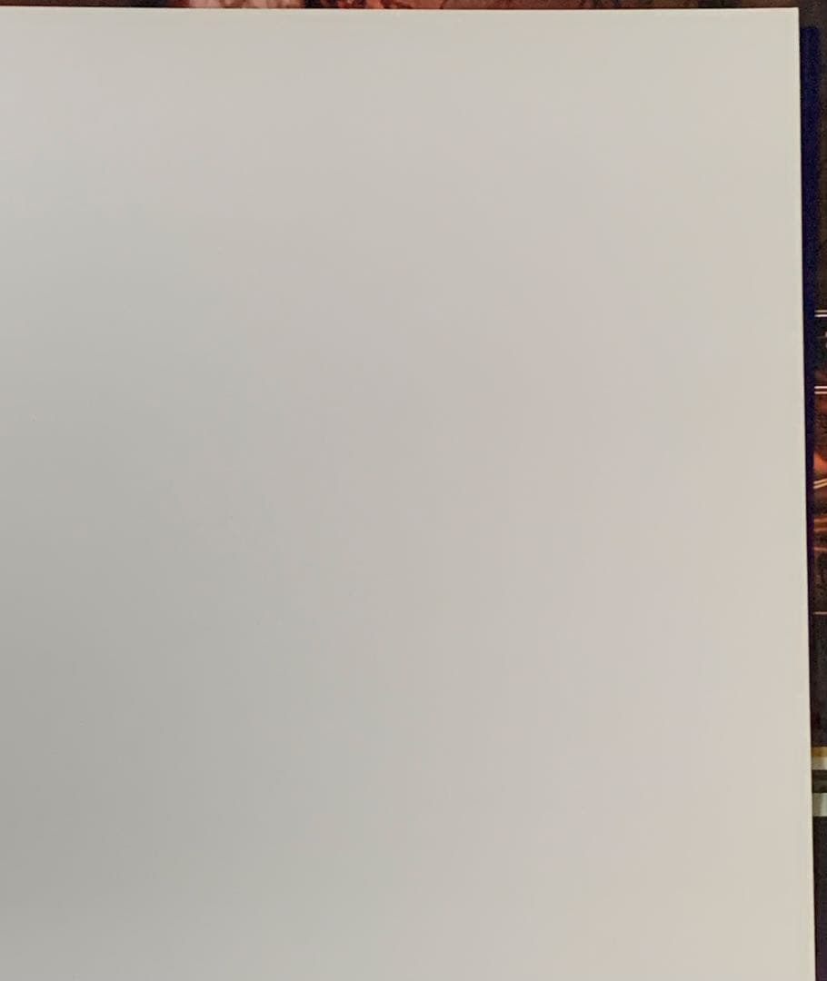 【B2】 伝説のスタフィー4 販促 非売品 ポスター