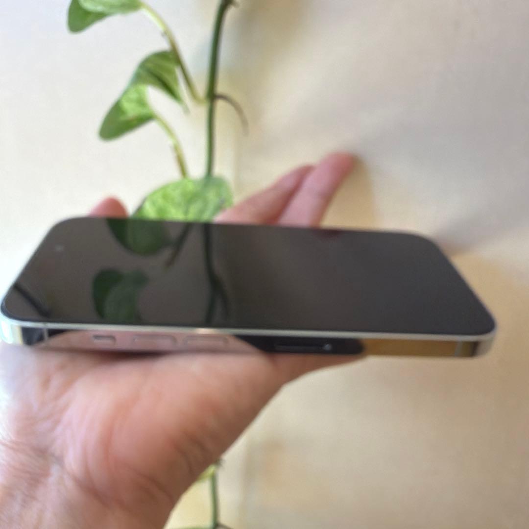 【美品】iPhone14Pro 256GB シルバー