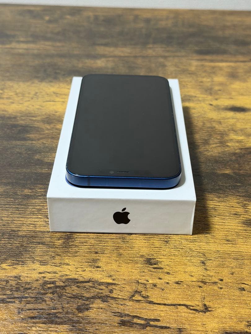 初期化&動作確認済　iPhone 12 256GB ブルー　Apple 備品付き