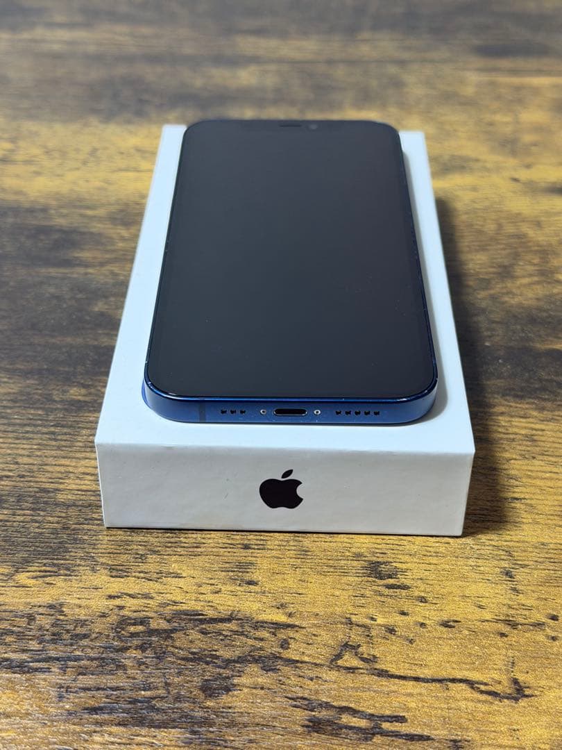 初期化&動作確認済　iPhone 12 256GB ブルー　Apple 備品付き