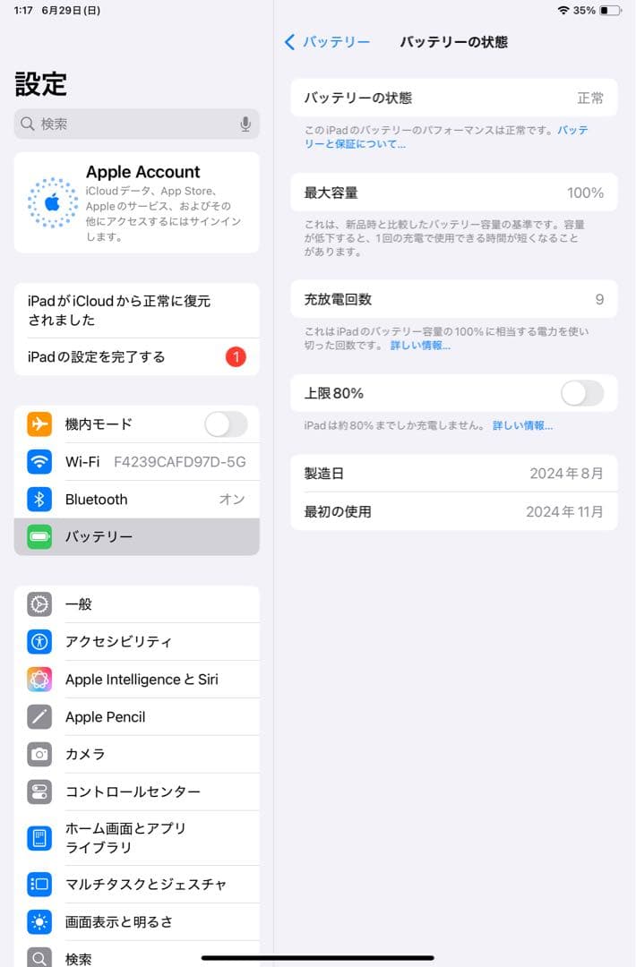 【極美品】iPad mini 7 A17Pro 128GB バッテリー100%