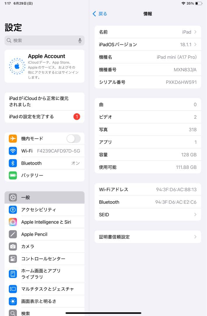 【極美品】iPad mini 7 A17Pro 128GB バッテリー100%