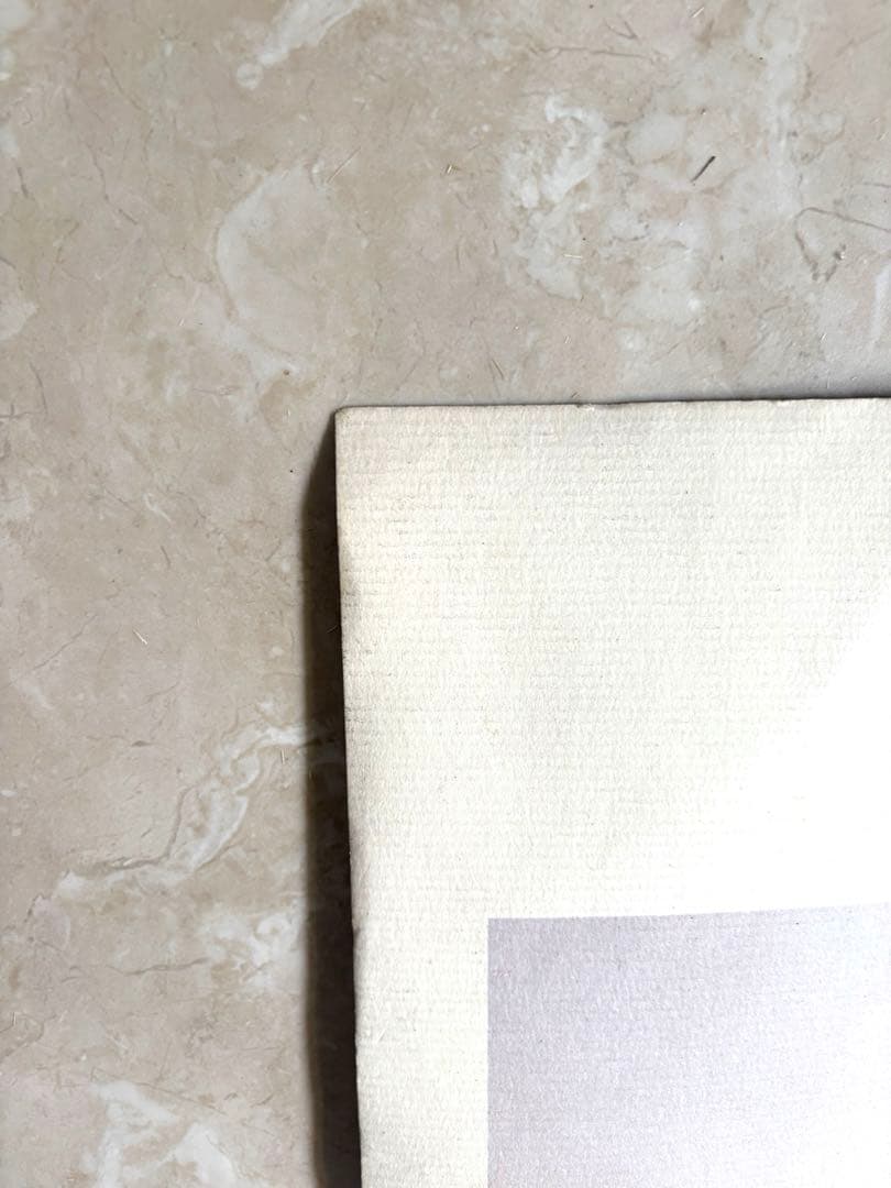 希少 1000枚限定 AKIRA 大友克洋 ヴィンテージポスター 海外版