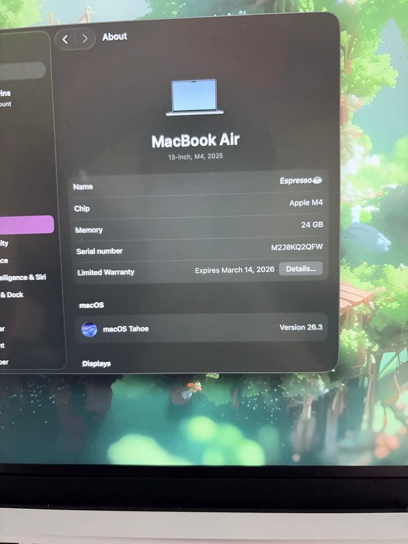 MacBook Air M4 24GB 1TB スカイブルー USキーボード