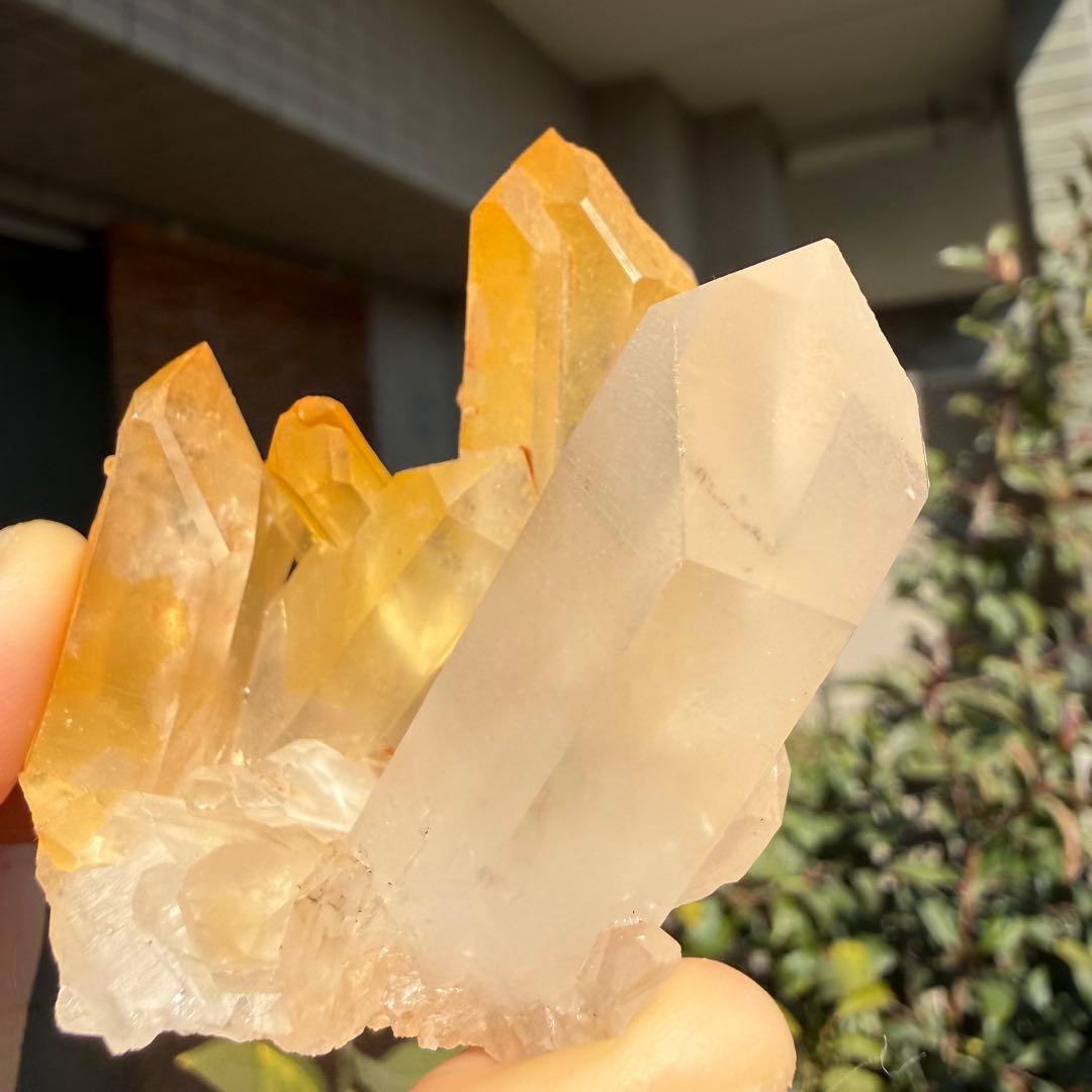 自然色　水晶クラスター モリオン　13個セット　1kg 水晶　原石　自然石c1