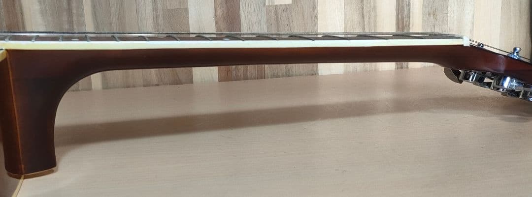 promartin w-180-ts アコースティックギター