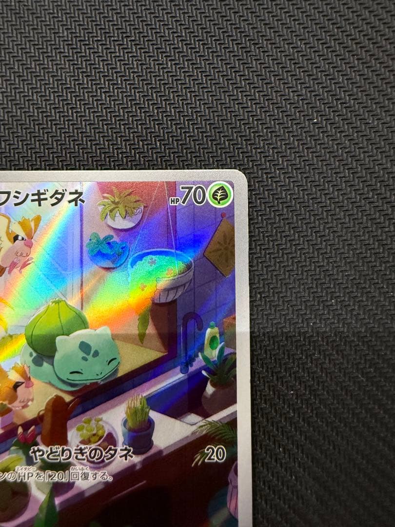 ヒトカゲ　フシギダネ　ARセット スペシャルデッキセットex