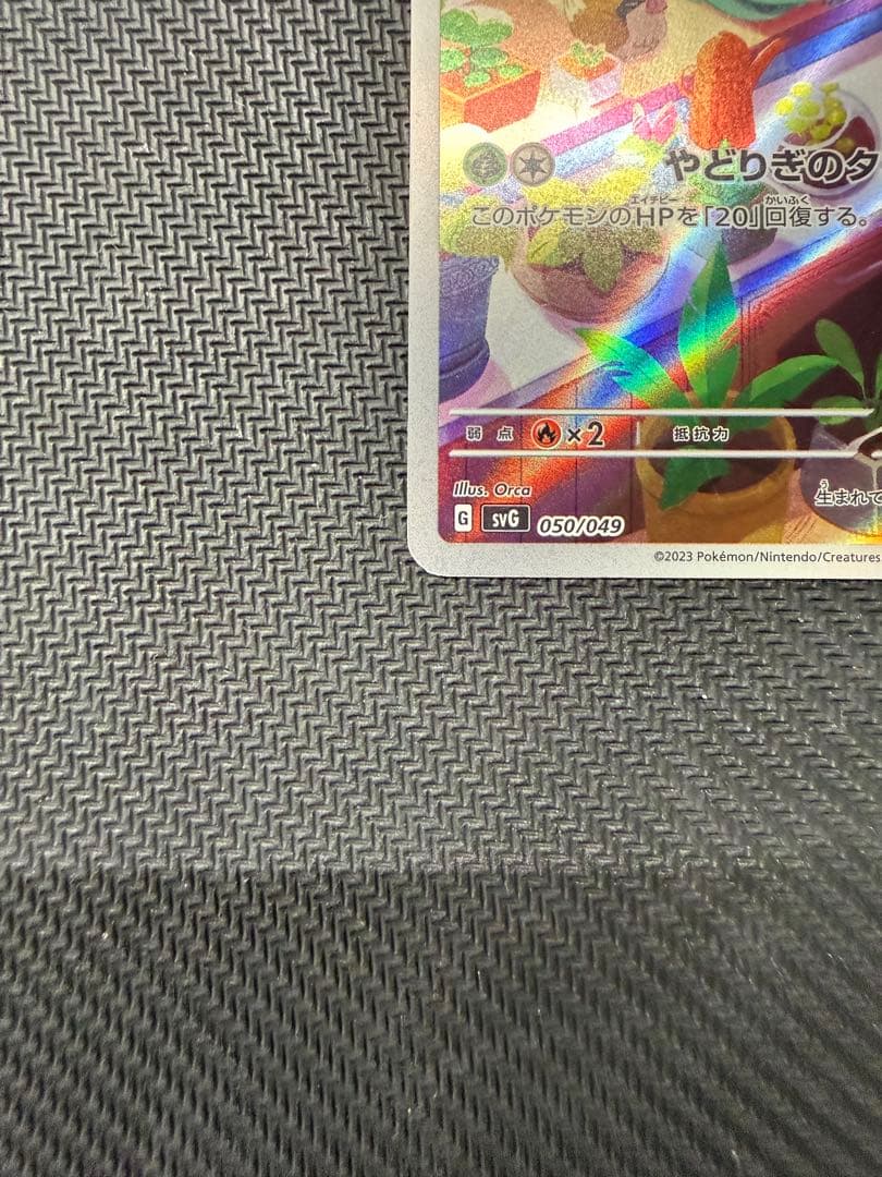 ヒトカゲ　フシギダネ　ARセット スペシャルデッキセットex