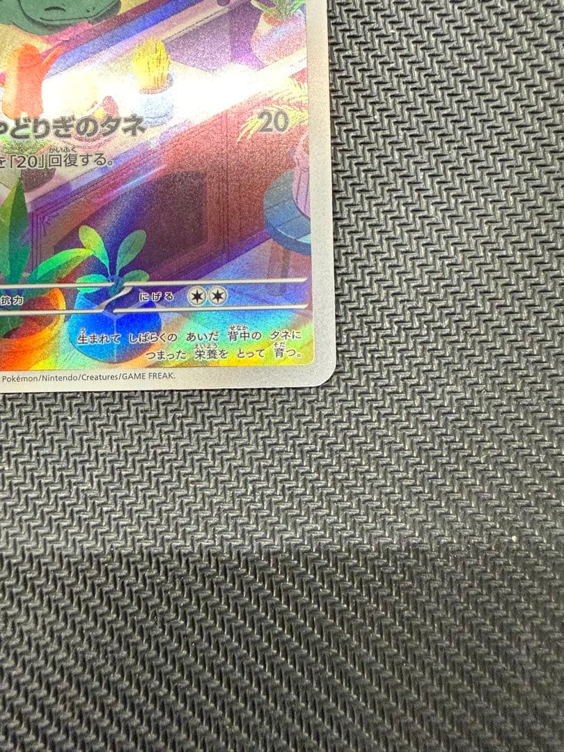 ヒトカゲ　フシギダネ　ARセット スペシャルデッキセットex