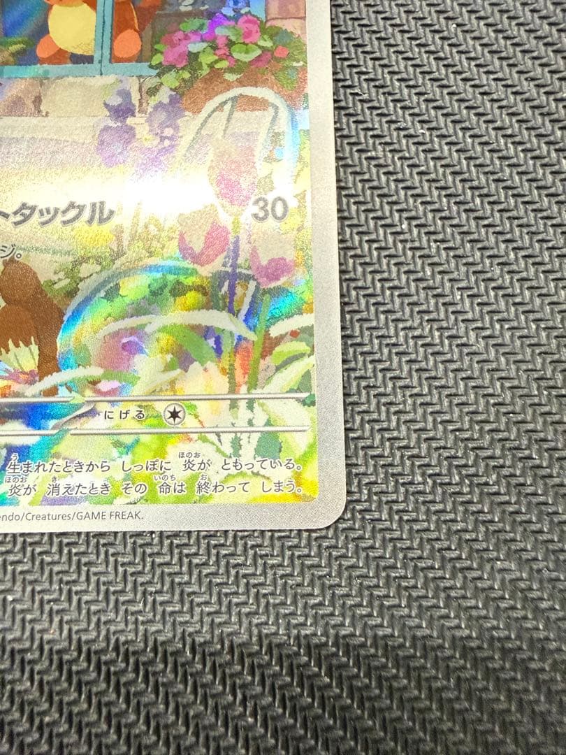 ヒトカゲ　フシギダネ　ARセット スペシャルデッキセットex