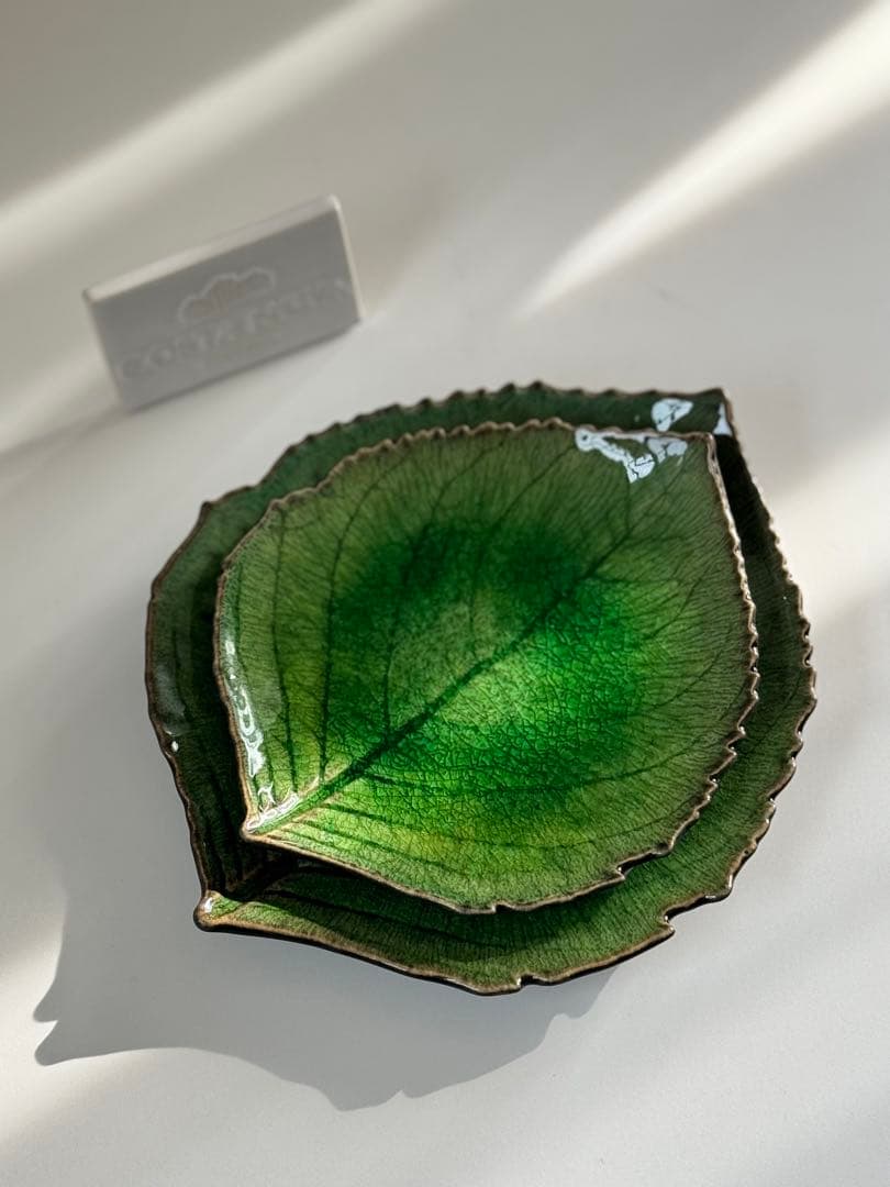 コスタノバ　リビエラリーフ皿2枚