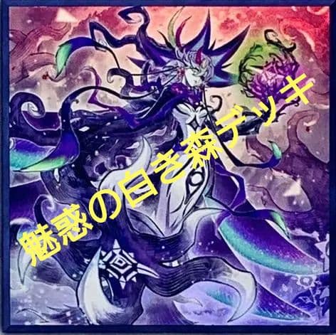 遊戯王 魅惑白き森デッキ