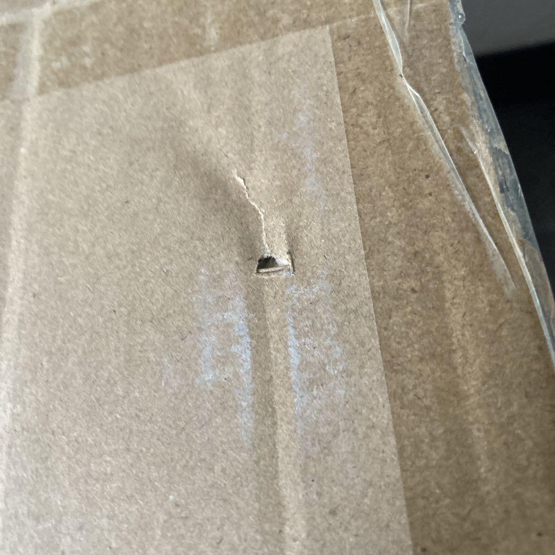 未開封 THE 0 スピーカー IN TWSイヤホン ER-505G 40セット