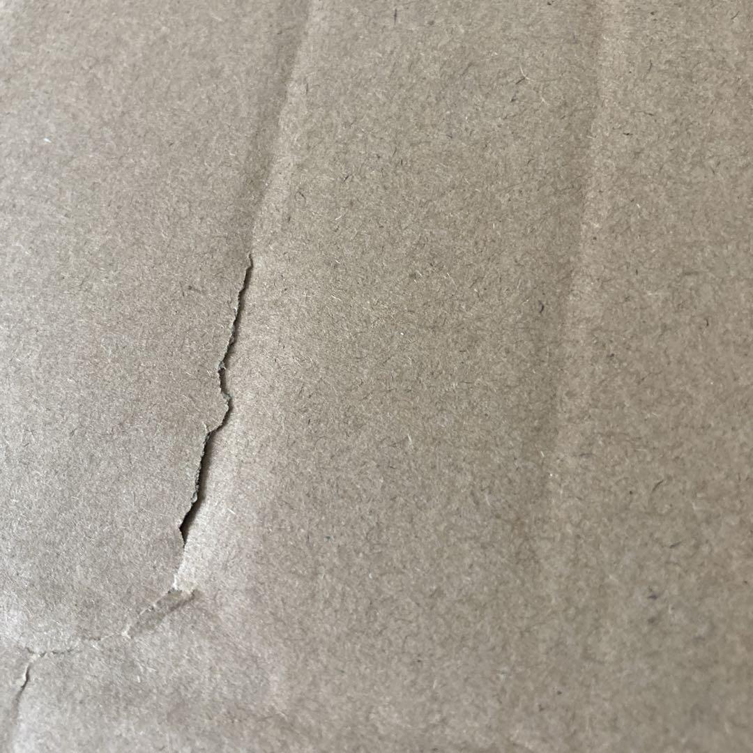 未開封 THE 0 スピーカー IN TWSイヤホン ER-505G 40セット