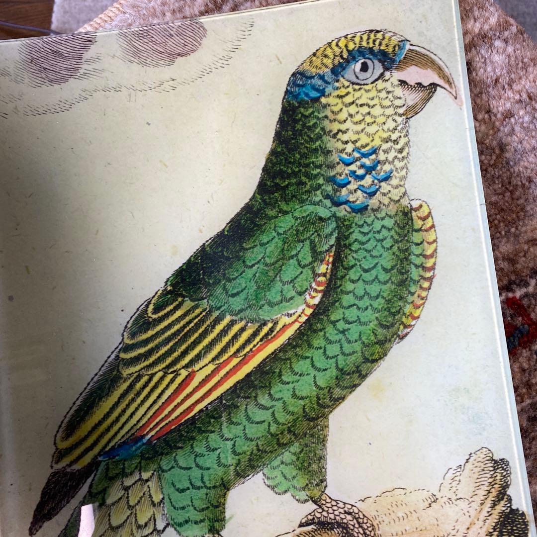 John Derian ジョンデリアン　デコパージュ②35×22㎝