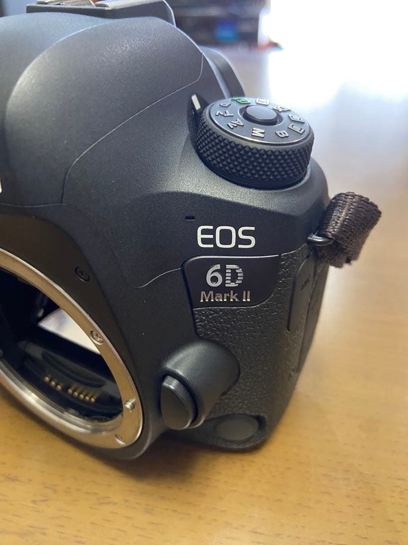 Canon EOS 6D Mark II 本体　お子さまやペット撮影に。おまけ付