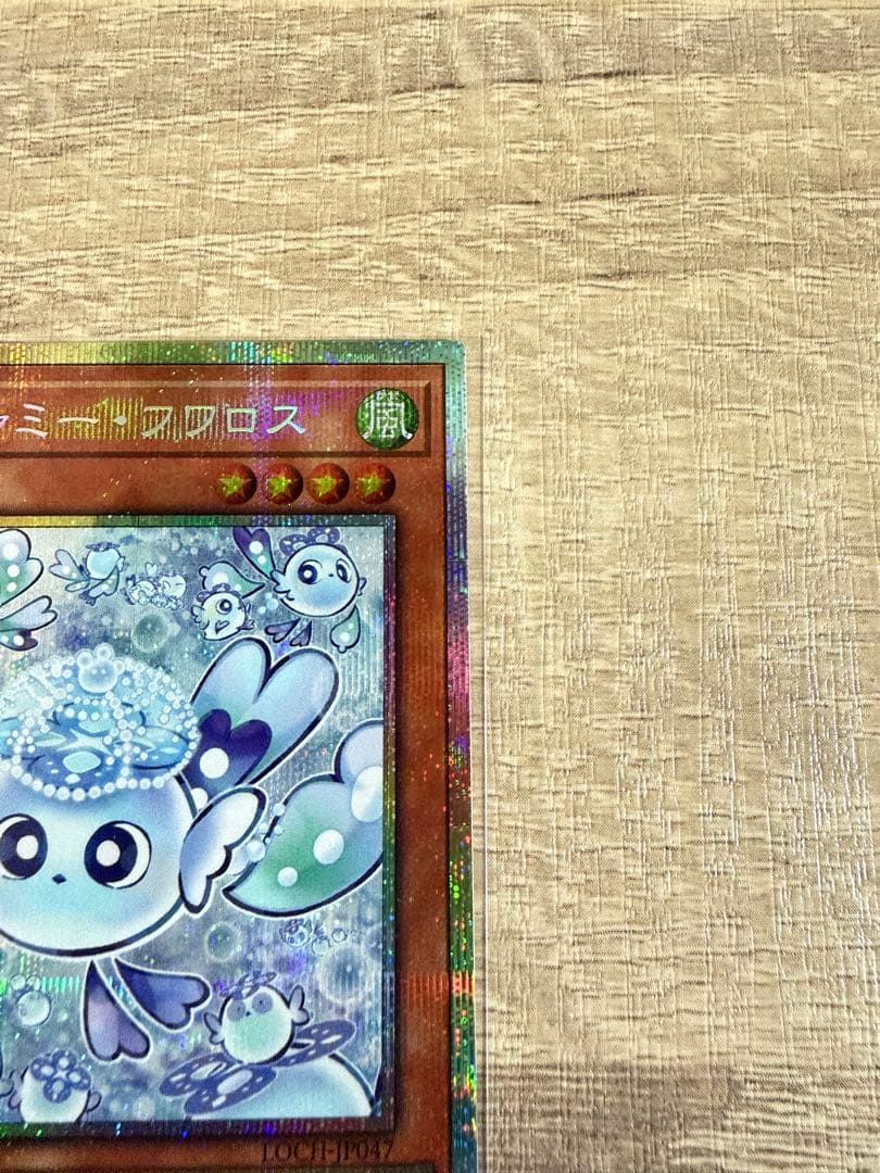 マチャルミー・フワロス プリシク