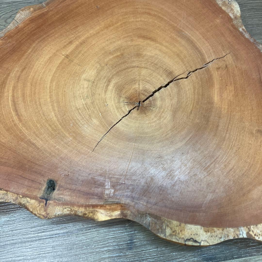 C-壁 天然木 一枚板 輪切り 飾り台 花台 置物 インテリア 木工品 雑貨