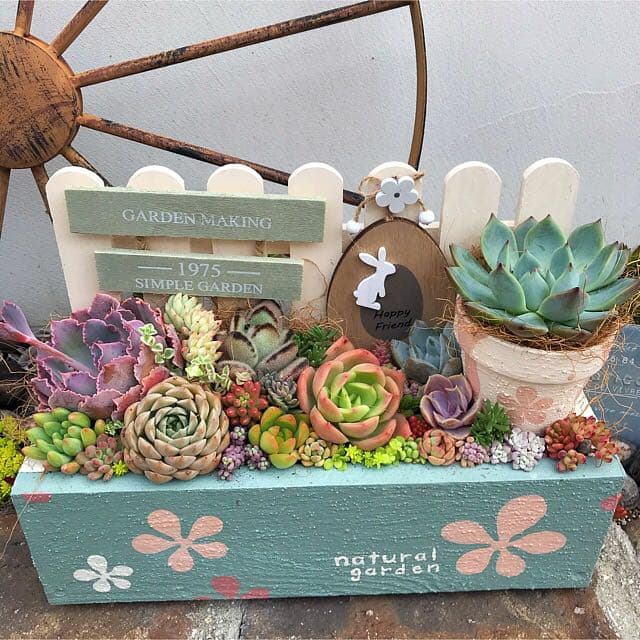 ★多肉植物　寄せ植え〜flower 木箱寄せ　大　リメ鉢付き♡〜★