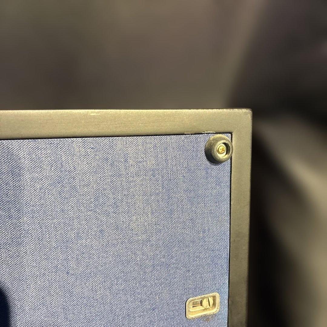 荒木幸史 「コスモス」ミクストメディア 油彩 アクリル パステル コスモス画家