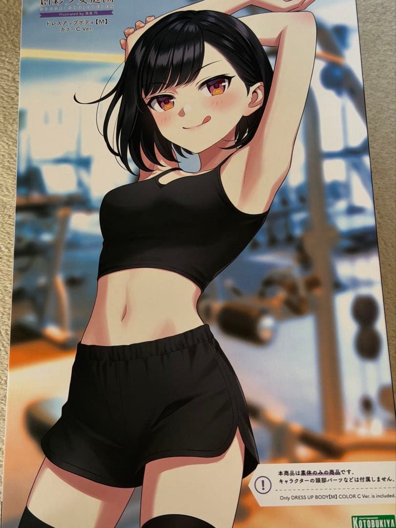 D*c様 創彩少女庭園　現状品セット