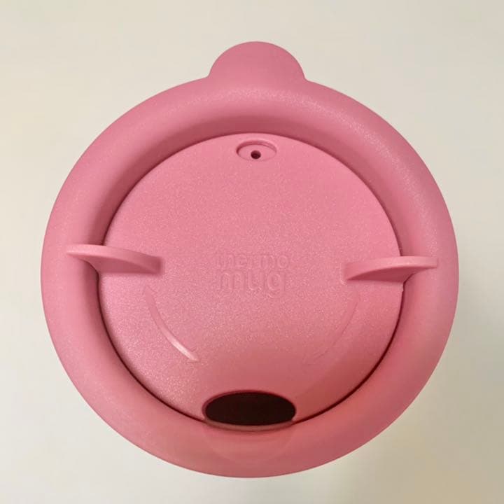 【新品未使用】東京ディズニーシー　ダッフィー　シェリーメイ　スーベニア　限定