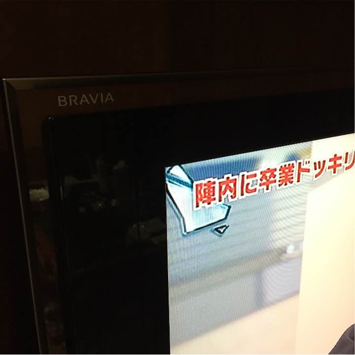 テレビ 40インチ くらい