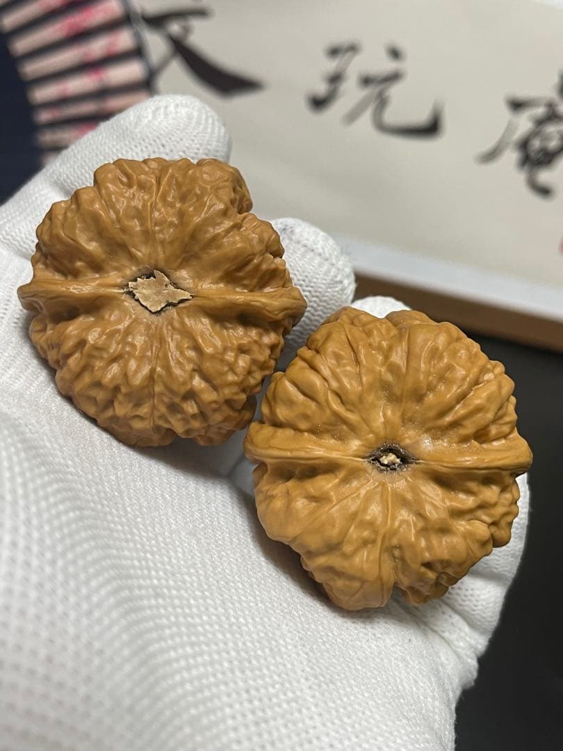 新入荷❤️No.721❤️文玩くるみ（文玩核桃） 蛤蟆头