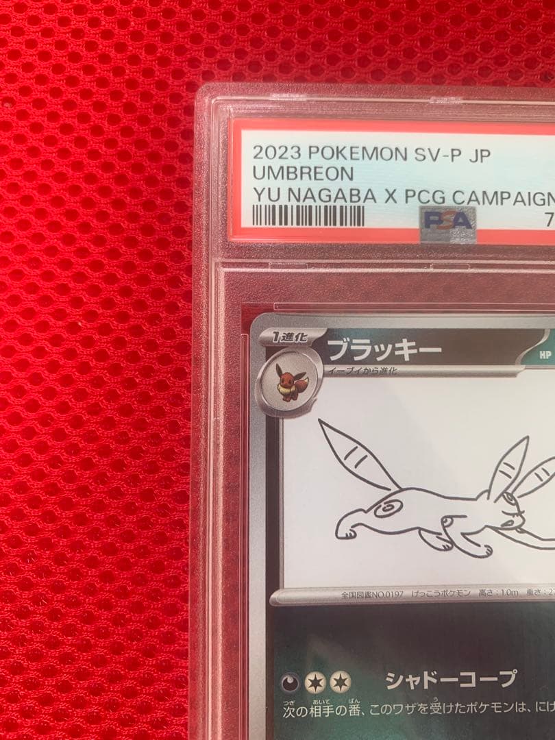 ブラッキー　PSA10