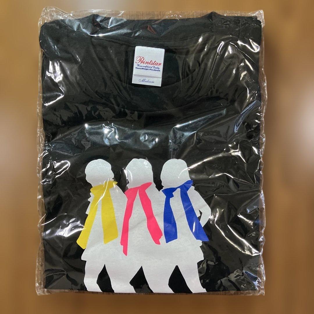 キャンディーズ　ありがとうカーニバル2008　解散30周年記念コンサートグッズ