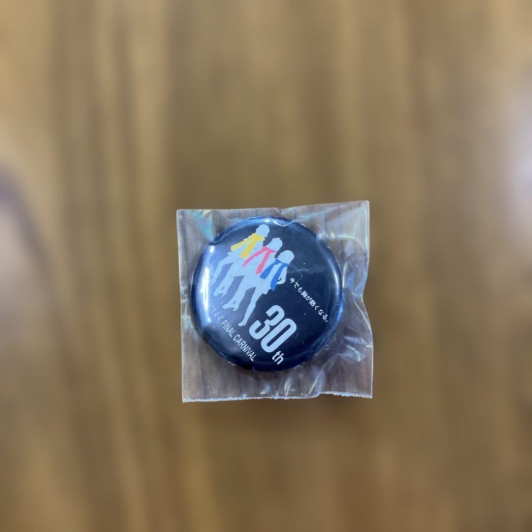 キャンディーズ　ありがとうカーニバル2008　解散30周年記念コンサートグッズ