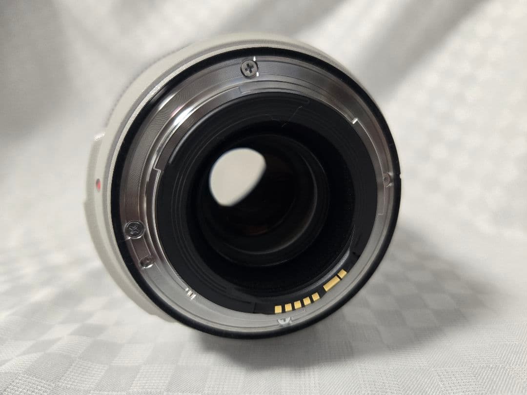 Canon EF 70-300mm f/4-5.6 IS USM ズームレンズ