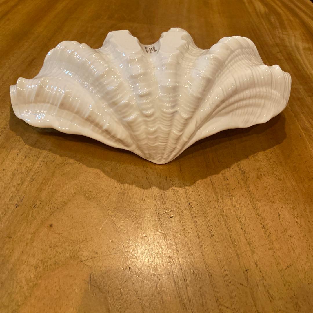  ウェッジウッド シェルプレート