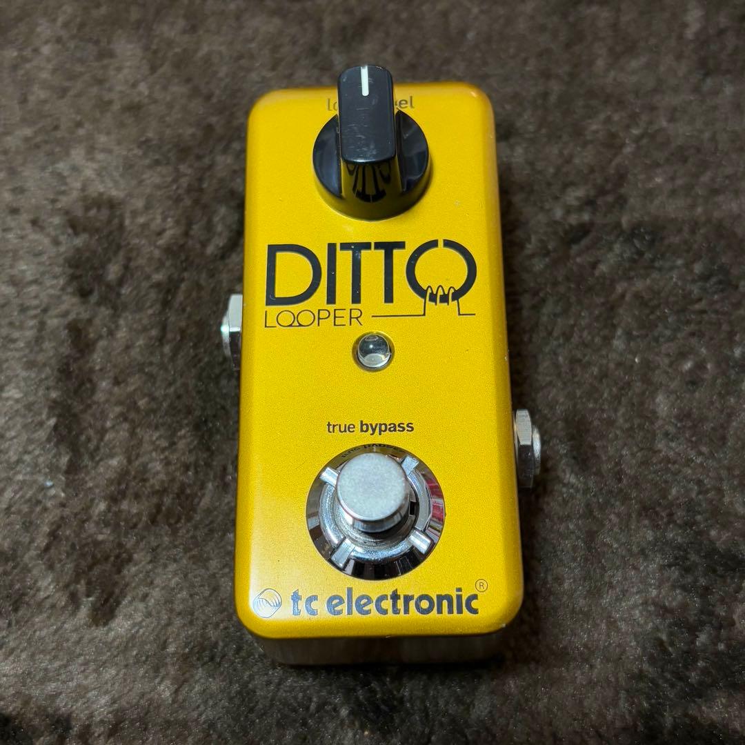 TC ELECTRONIC Ditto Looper ルーパー エフェクター
