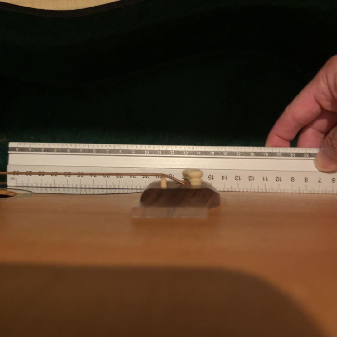 【マギーちゃん専用】★超美品★Martin DM（ハードケース付き）