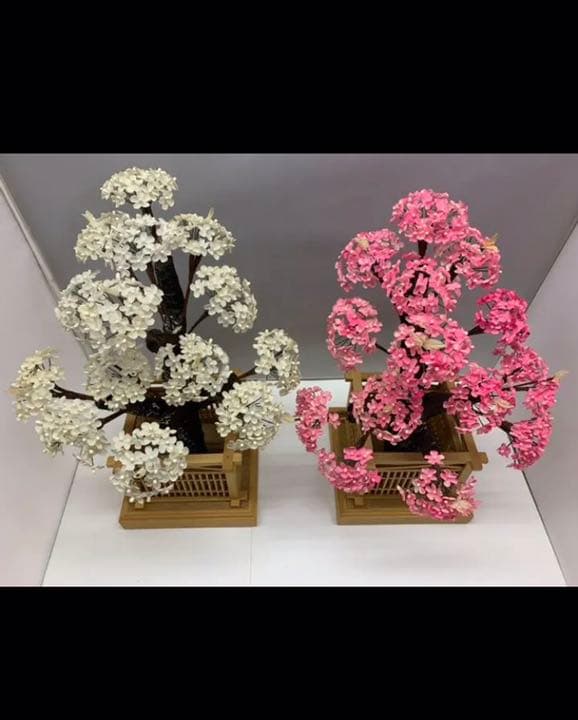 紅梅　白梅　015-20K