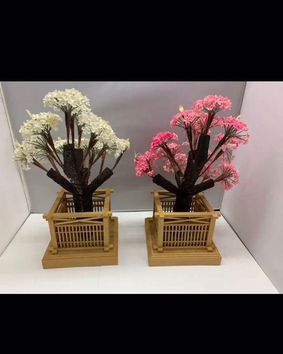 紅梅　白梅　015-20K