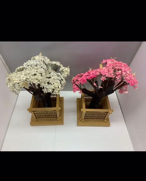 紅梅　白梅　015-20K