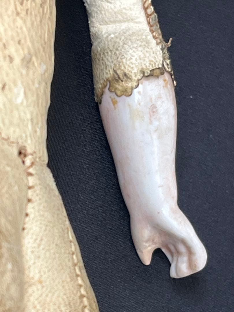 アンティークビスクドール 追加確認画像です