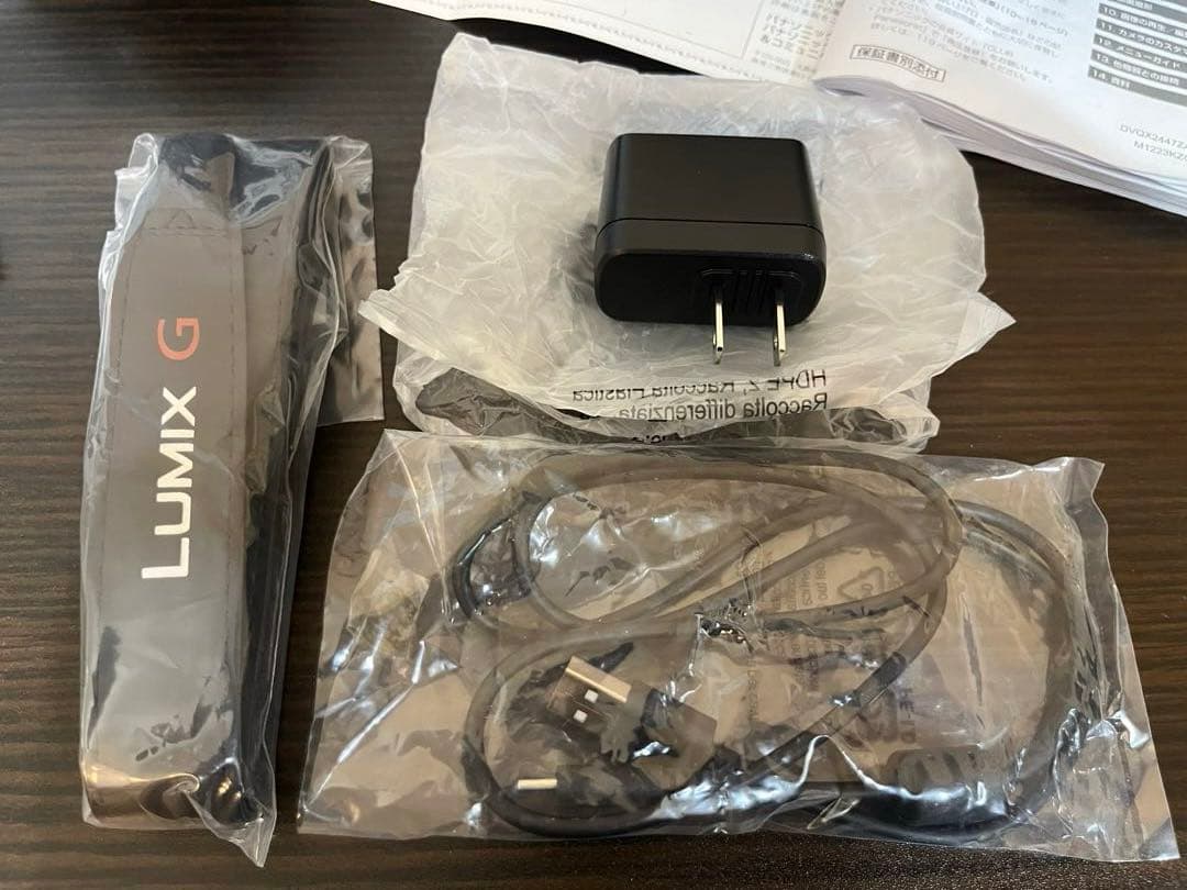 \"本日最終日\" LUMIX DC-G100DW ダブルズームレンズキット