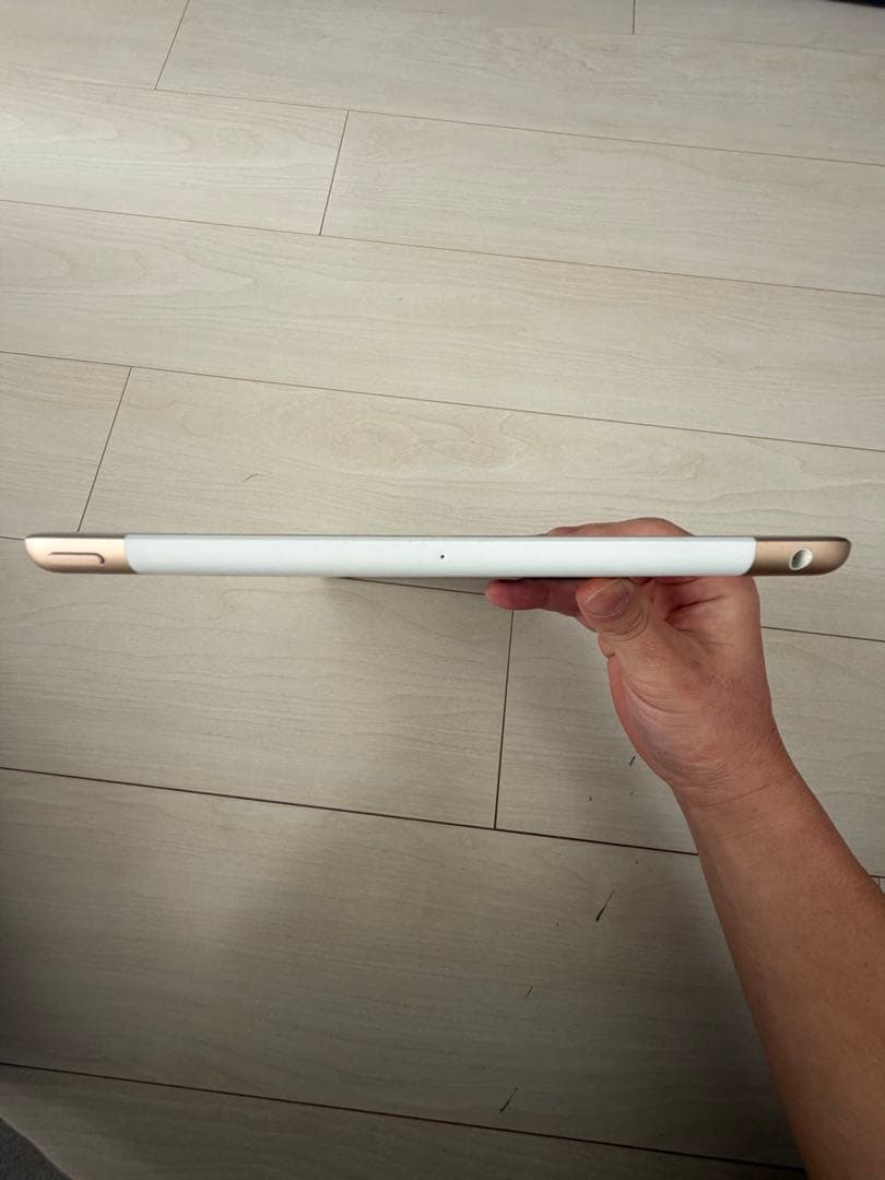 iPad 第5世代 32GB Wi-Fi+Cellular 本体