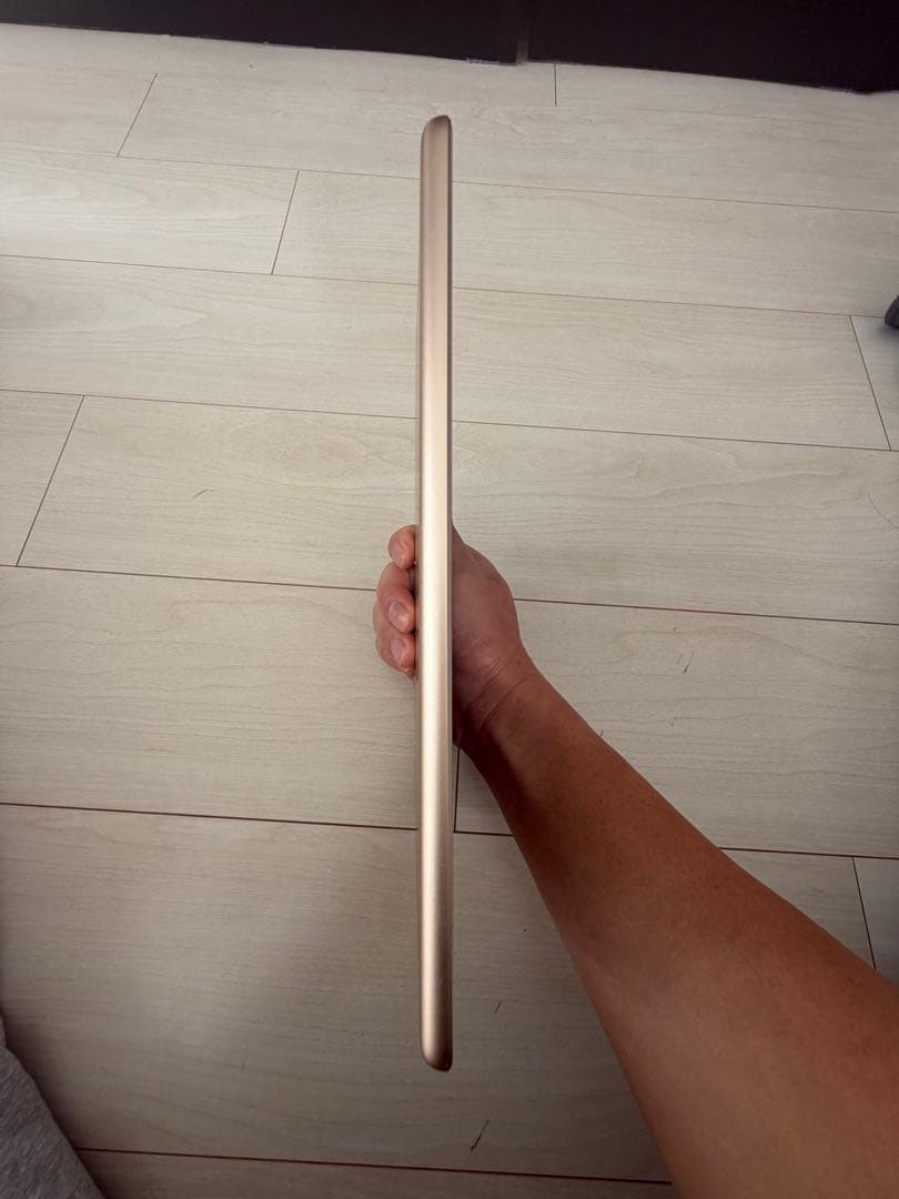 iPad 第5世代 32GB Wi-Fi+Cellular 本体