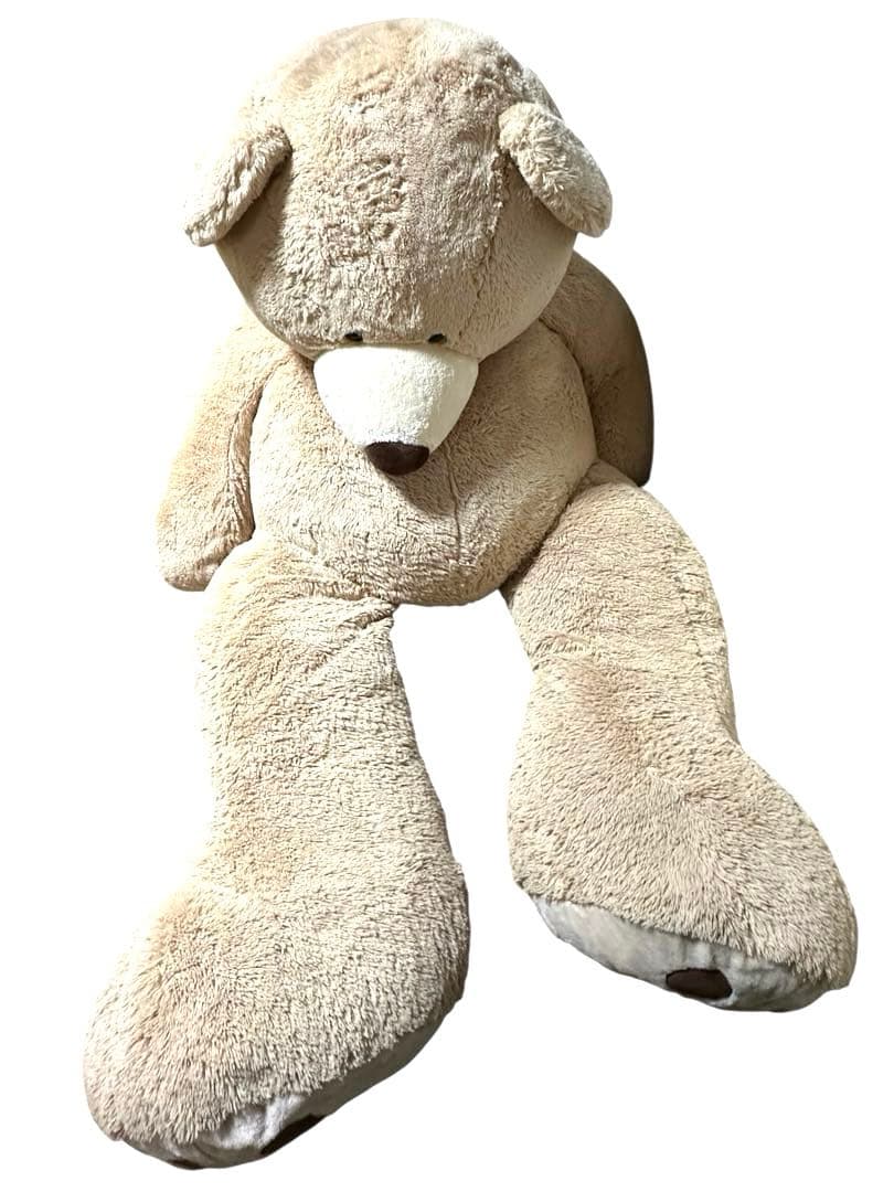 コストコ クマ ぬいぐるみ コストコベア 236cm 特大 big bear